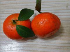 -嘉百乐超市(新东街店)