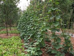 -白鹭湾湿地公园