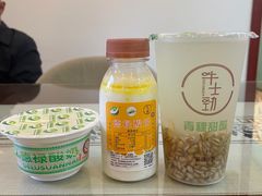 -德禄酸奶(莫家街店)