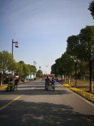 游乐设施-水八仙生态园