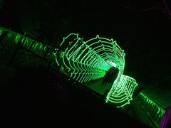 景点-南宫五洲植物乐园