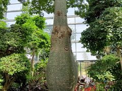 -祥源·阜阳生态乐园