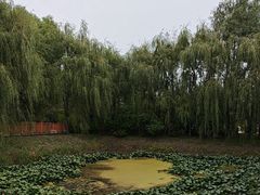-绥化市森林植物园