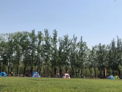 -杨柳青庄园
