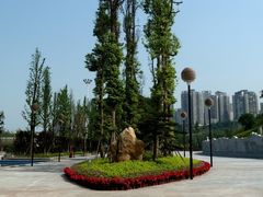 -龙头寺公园