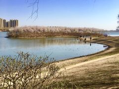 -丁香湖公园