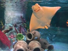 -沈阳海洋探索中心