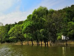 -柳树湾风景区