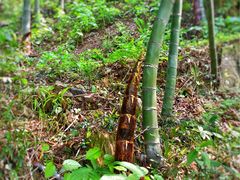 -藏龙百瀑风景区