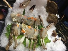 -渔傅·蓝海岸霞浦海鲜(正祥店)