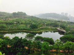 -广州汇华希尔顿逸林酒店