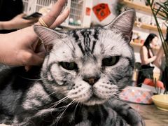 -小时光咖啡馆(北锣鼓巷店)