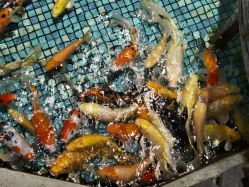 -酷嗒动物文化乐园(cutezoo西溪乐天城店)