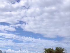 -海沧湾公园
