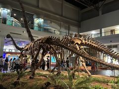 -自贡恐龙博物馆