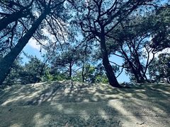 -庐山恋影院(河西路店)