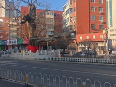 -郝刚刚羊杂割(柳巷店)