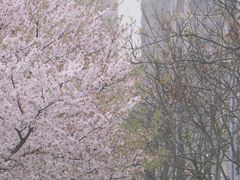 -龙美术馆(西岸馆)