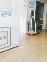 -苗塑堂减肥艾灸