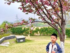 -重庆平顶山公园