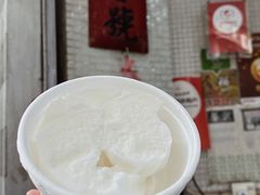 -洪馨椰子
