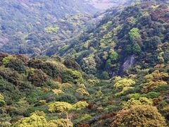 -大姆山草场