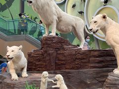 -陕西自然博物馆