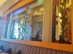 -Acqua海蓝意大利餐厅