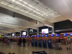 -谢列梅捷沃国际机场