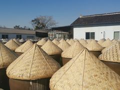 -苏州市吴中区光福窑上花果蜜饯厂