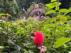 -西双版纳基诺山寨