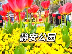 -静安公园(静安寺街道)