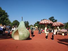 -琅岐红光湖公园