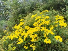 -妙峰山风景名胜区