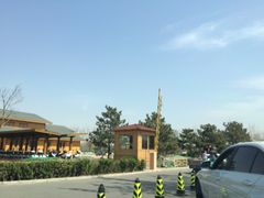 -东郊湿地公园