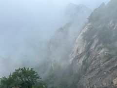 -老城豆腐汤(伊水路店)