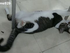 -瓦匠工社·马赛克·积木拼图·亲子手工DIY