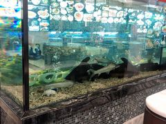 -寻味顺德·珍之宝酒楼(银钻店)