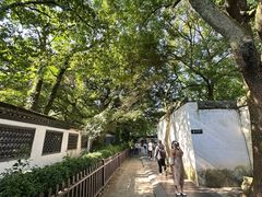 -绍兴鲁迅故里·沈园景区