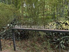 -云溪植物园