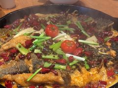 -老板恋上鱼(恒隆广场店)