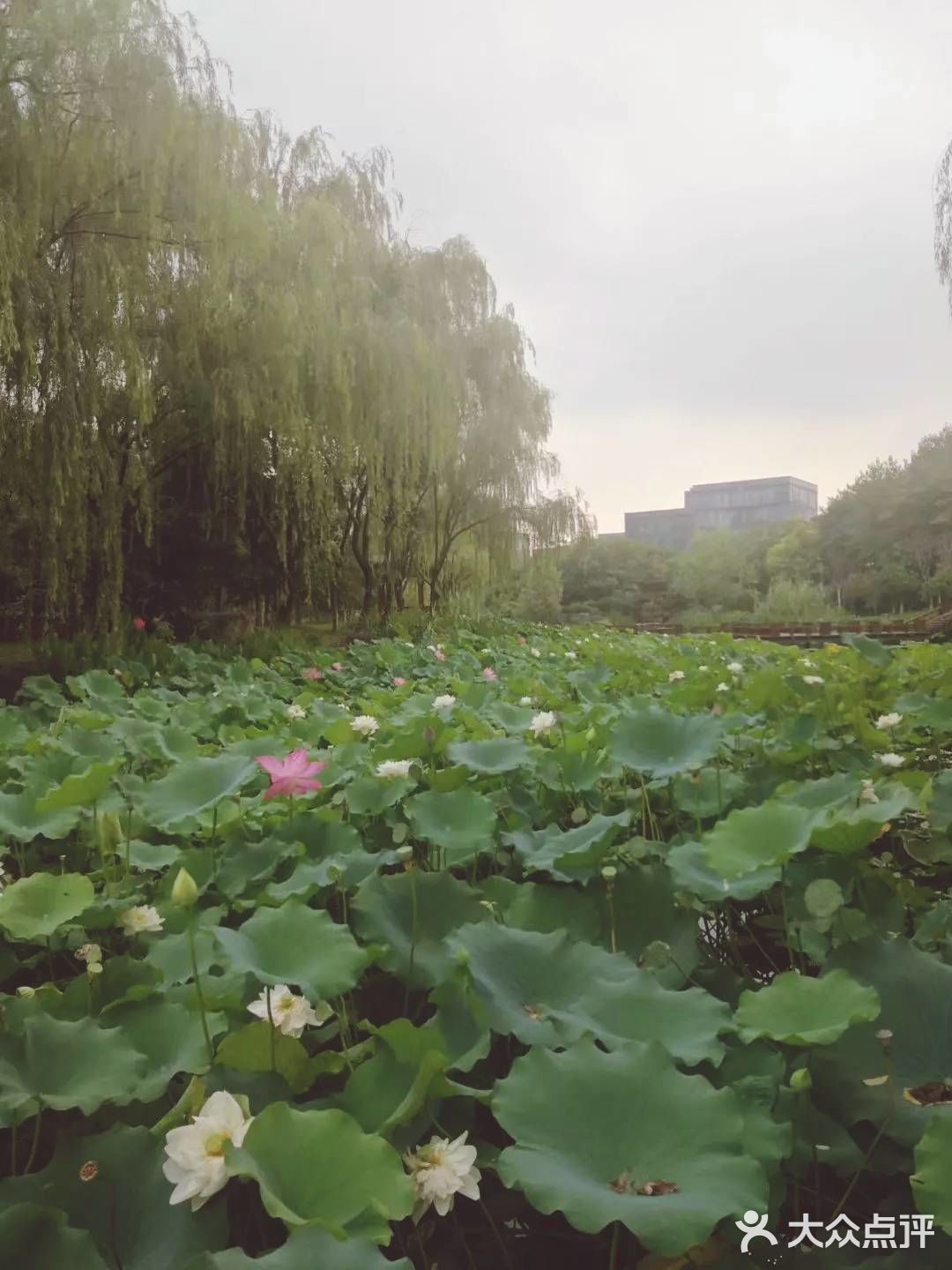 杭州湘湖旅游攻略