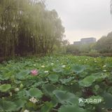 杭州湘湖旅游攻略
