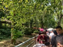 -泰安地下龙宫景区