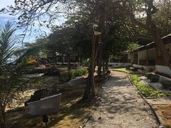 -苏米龙岛