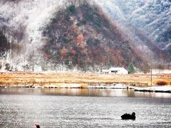 -大九湖