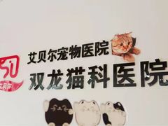 -艾贝尔宠物医院·24H转诊中心·肿瘤猫专科(江宁双龙店)