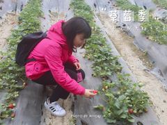 -晶宝温泉农庄