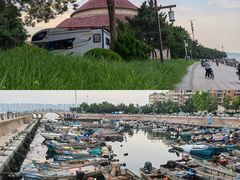 -悦海公园