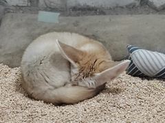 -海合安武汉极地海洋公园